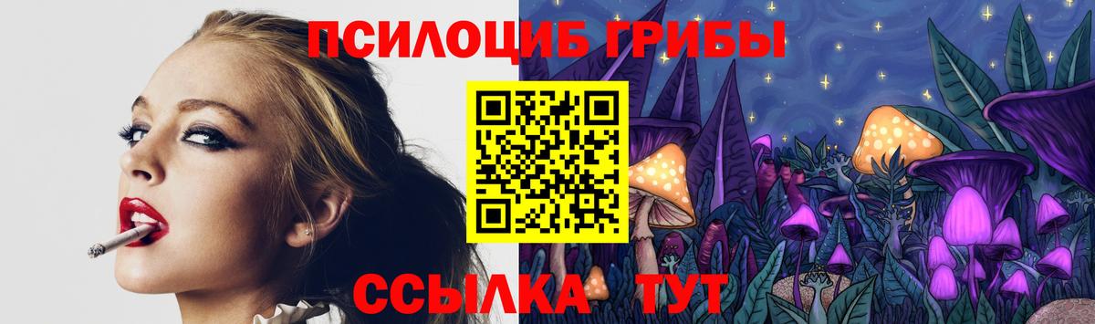 Камышин  Псилоцибиновые грибы мухоморы  Вход с VPN 