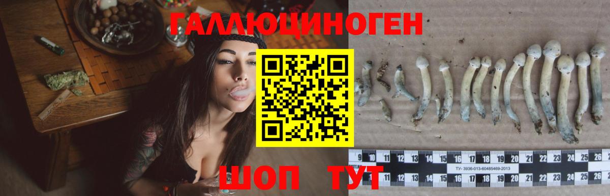 Галлюциногенные грибы MAGIC MUSHROOMS Камышин